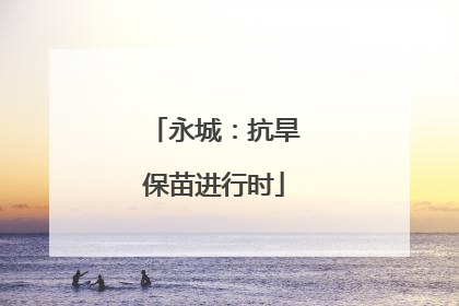 永城：抗旱保苗进行时